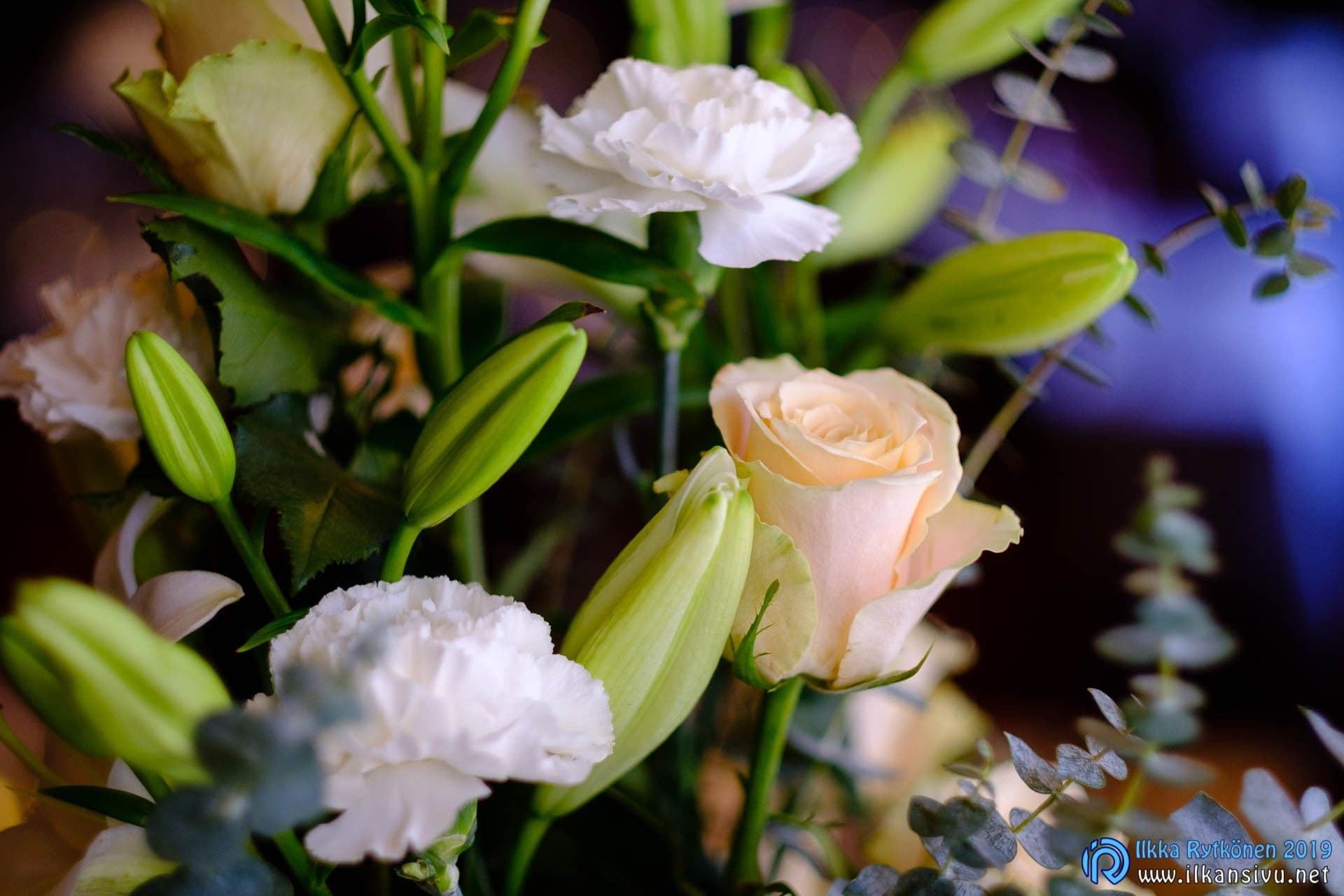Wedding photograph from Salla & Vesa, image 15
