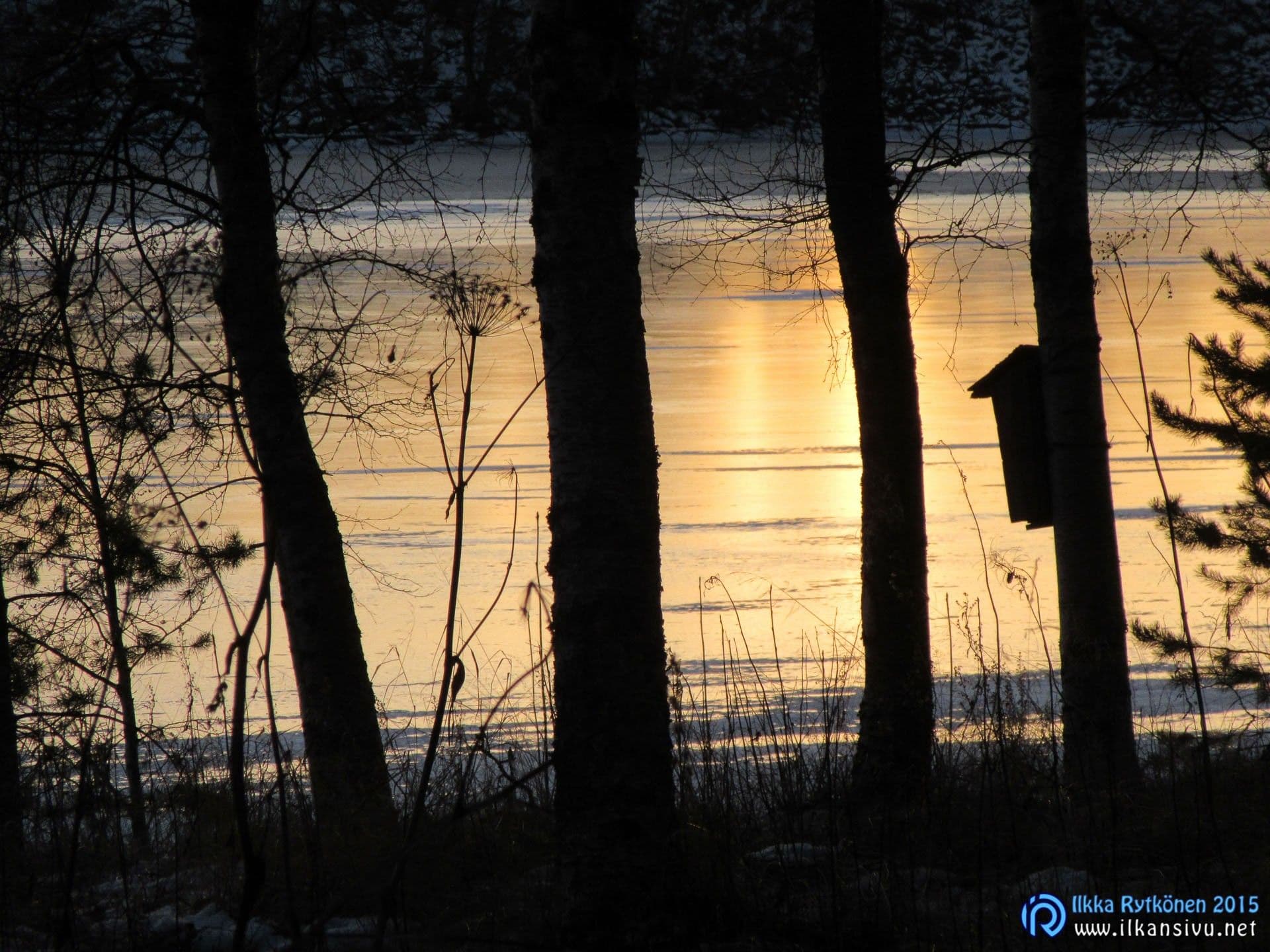 Auringonlasku