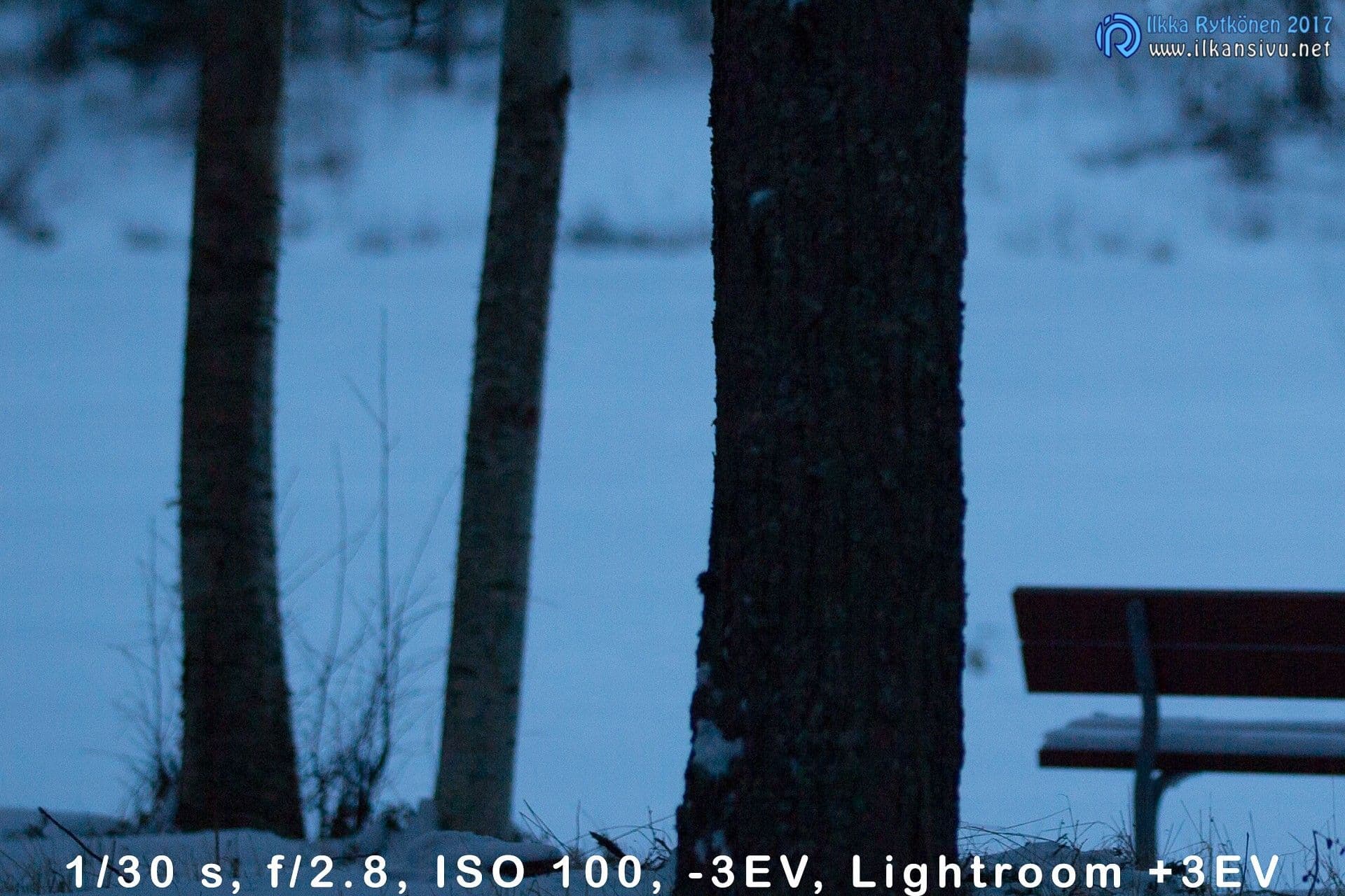 Puunrungot ja penkki lumisessa maisemassa, kolmen aukon alivalotus korjattuna Lightroomissa