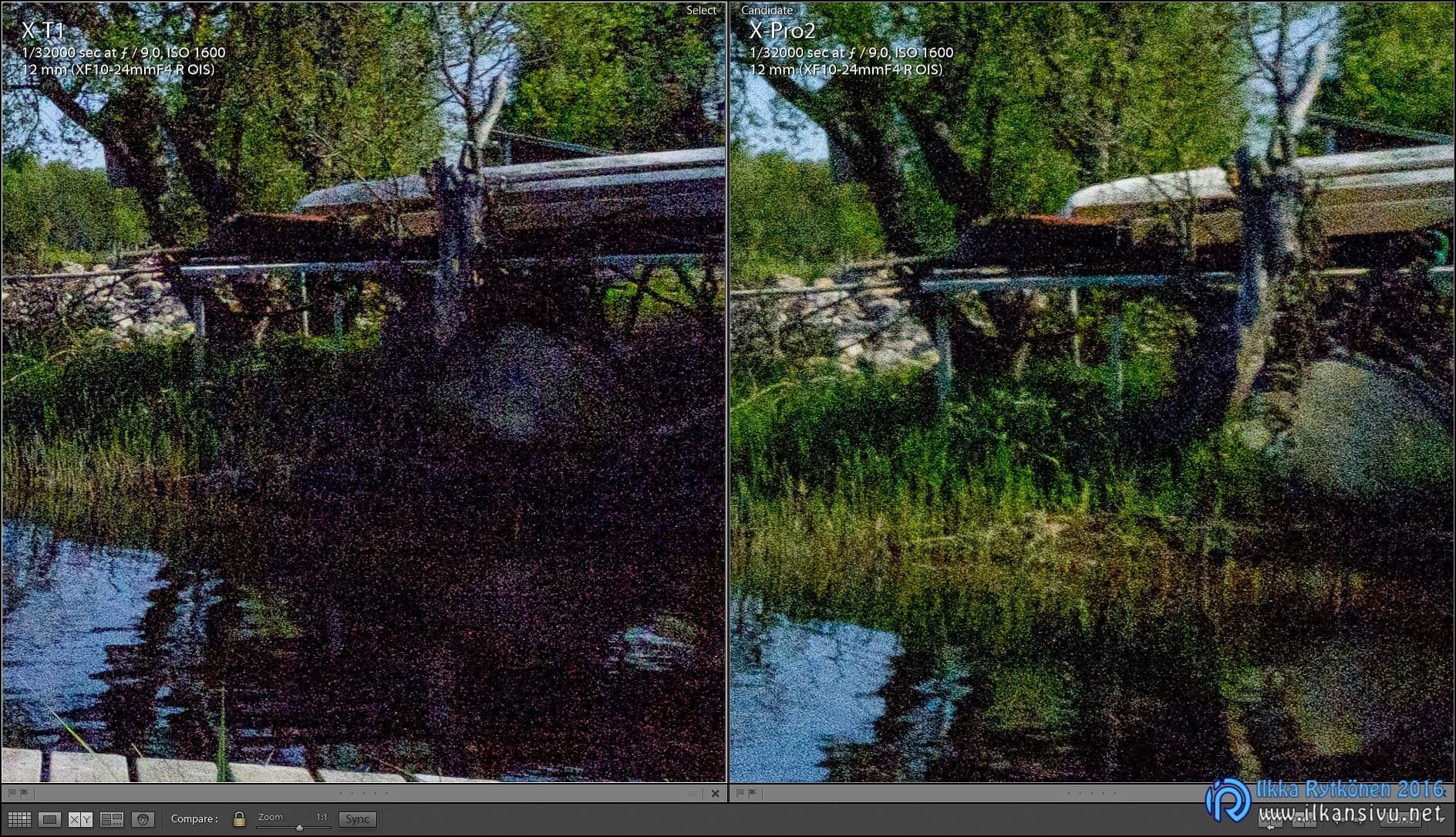 X-Pro2 vs. X-T1. Tumman pään dynamiikka. -4 EV alivalotus korjattu, shadow +50.