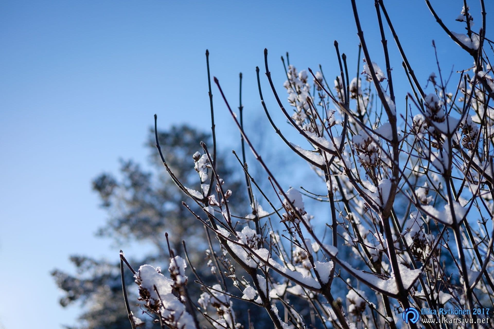1/8000 s - f/2 - ISO 200 - X-T1