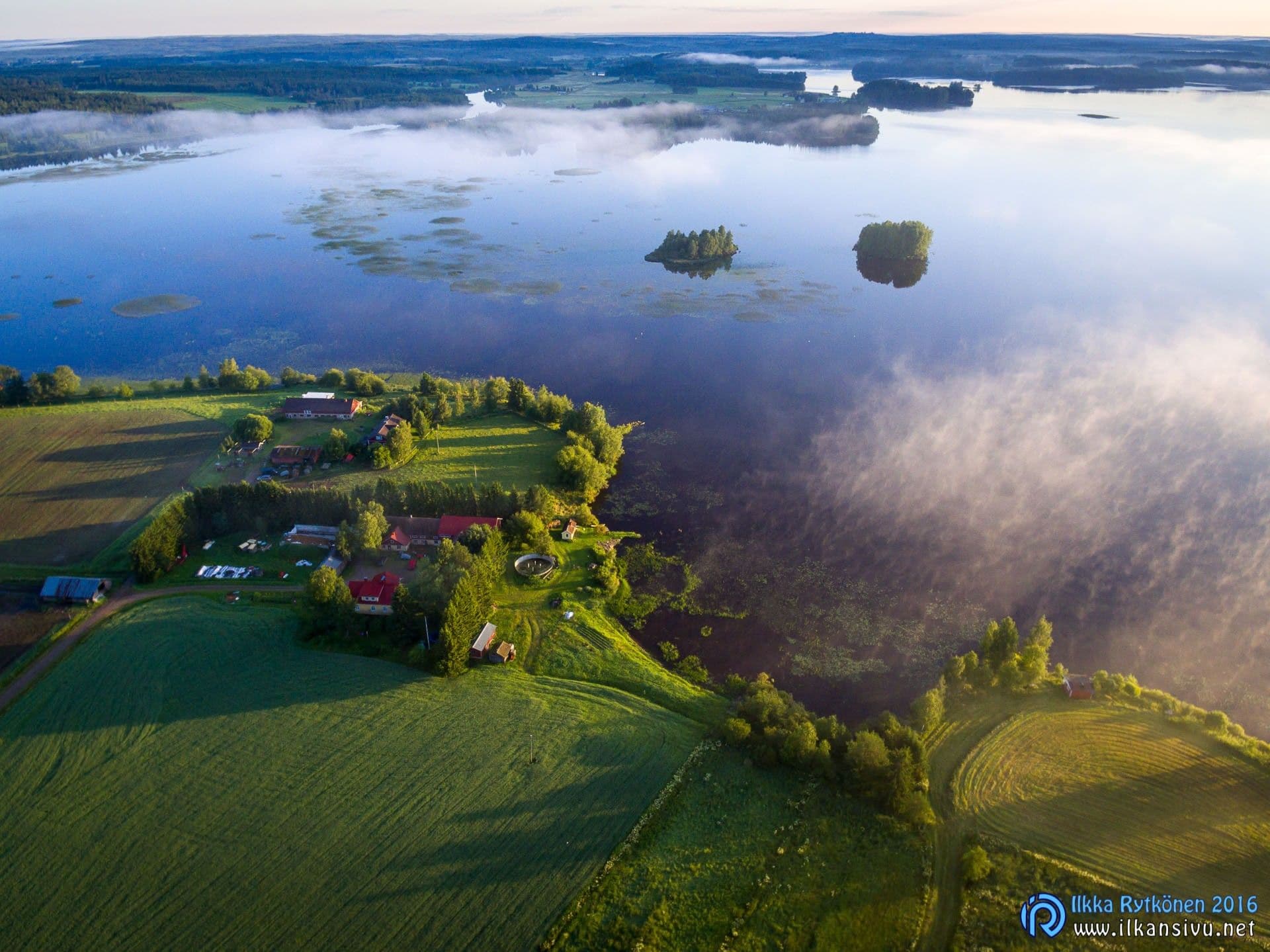 Ilmakuva rantapelloista ja järven yllä leijuvasta sumusta